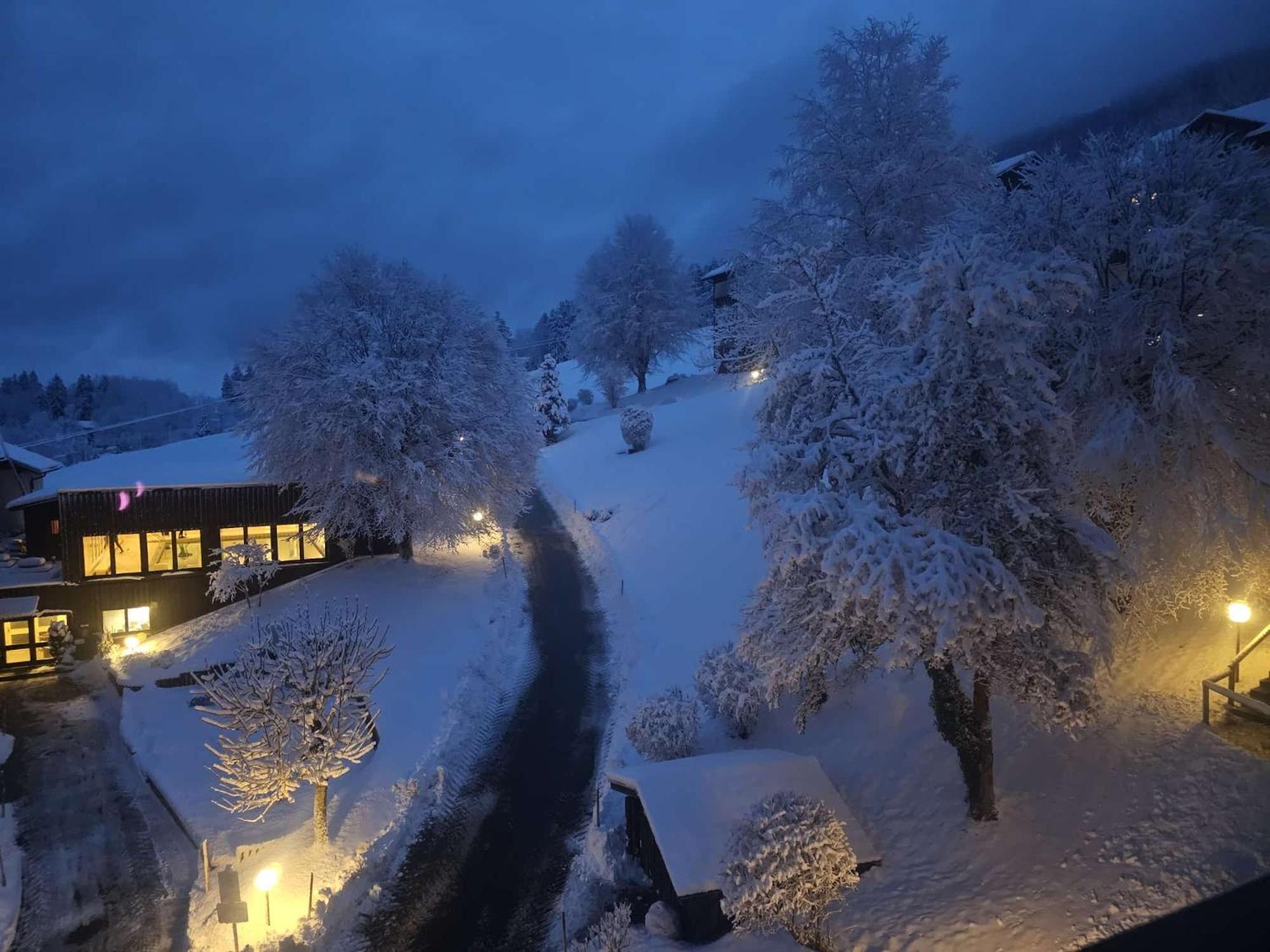 Sonnen-Juwel - Hallenbad-Sauna-2 Getrennte Schlafbereiche-Direkt An Der Skipiste ميسين-فيلامس المظهر الخارجي الصورة