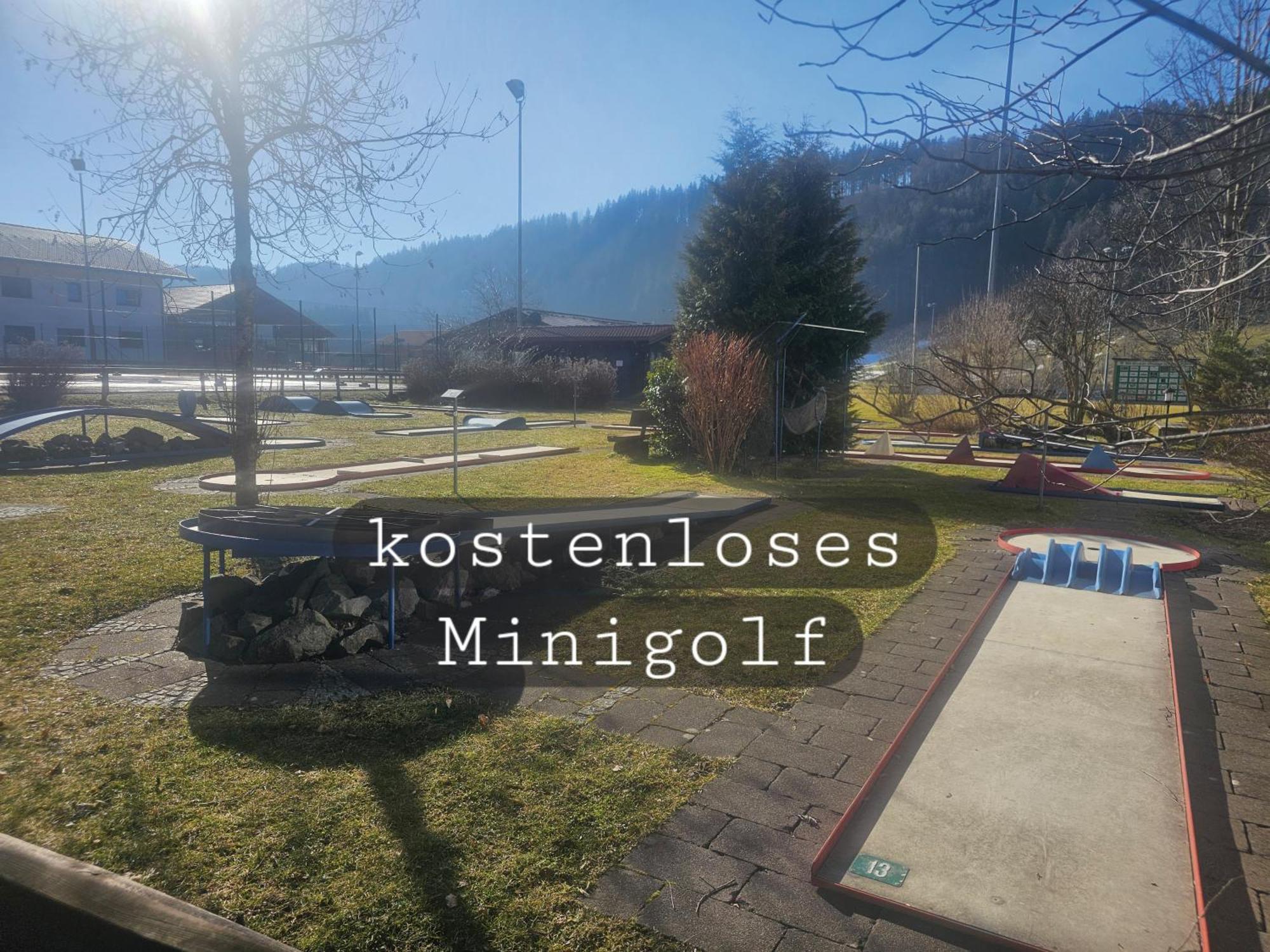 Sonnen-Juwel - Hallenbad-Sauna-2 Getrennte Schlafbereiche-Direkt An Der Skipiste ميسين-فيلامس المظهر الخارجي الصورة